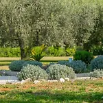 Villa Modern Oliveti With Pool And Grill In Porec Frata