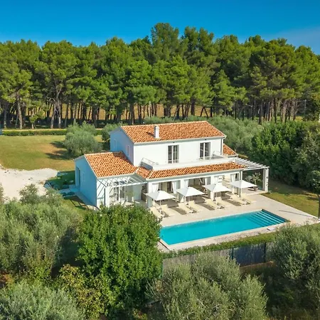 Modern Oliveti With Pool And Grill In Porec Frata