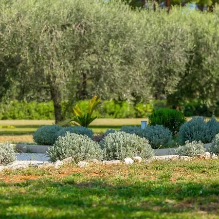 Modern Oliveti With Pool And Grill In Porec Villa Frata
