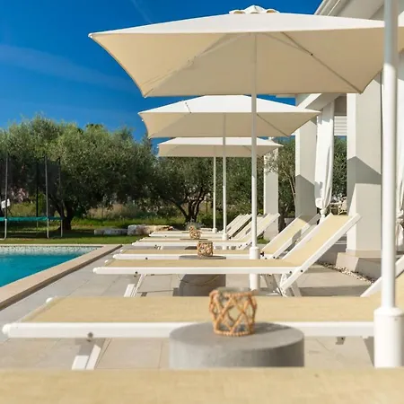 Modern Oliveti With Pool And Grill In Porec Villa *