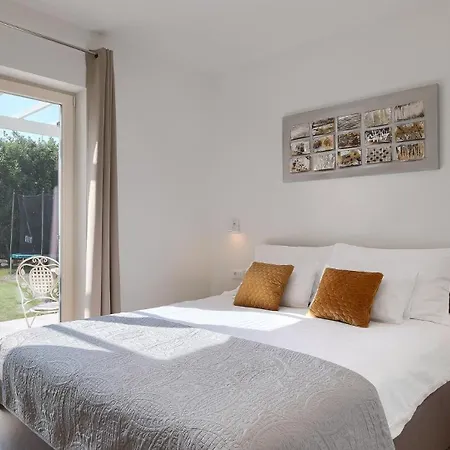 Modern Oliveti With Pool And Grill In Porec Villa