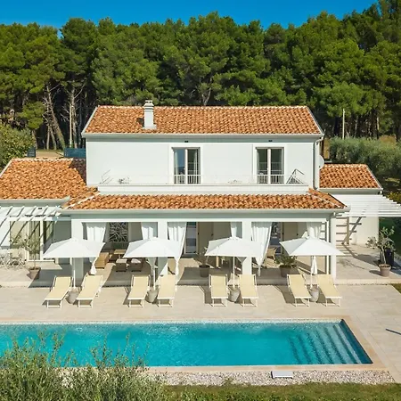 Modern Oliveti With Pool And Grill In Porec Villa *