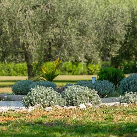 Villa Modern Oliveti With Pool And Grill In Porec Frata