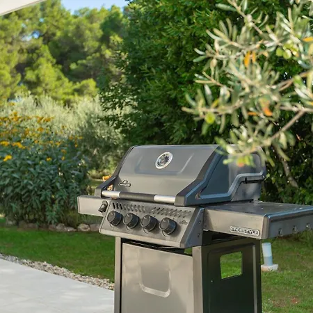 Modern Oliveti With Pool And Grill In Porec Villa