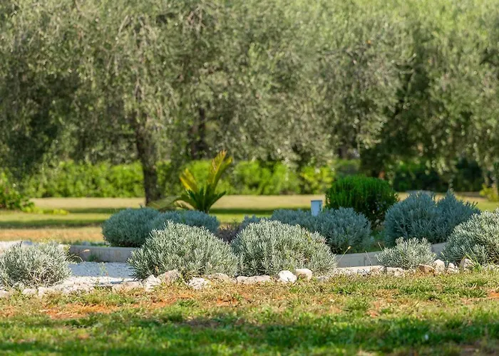 Villa Modern Oliveti With Pool And Grill In Porec Frata