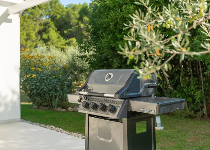 Modern Oliveti With Pool And Grill In Porec Villa