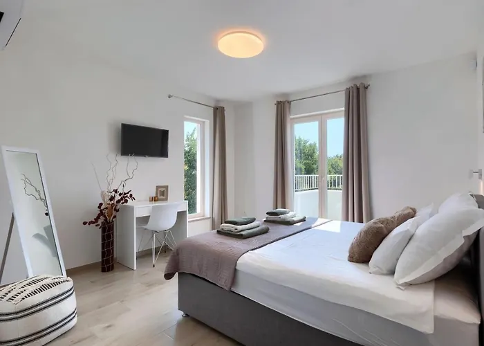 Villa Modern Oliveti With Pool And Grill In Porec *