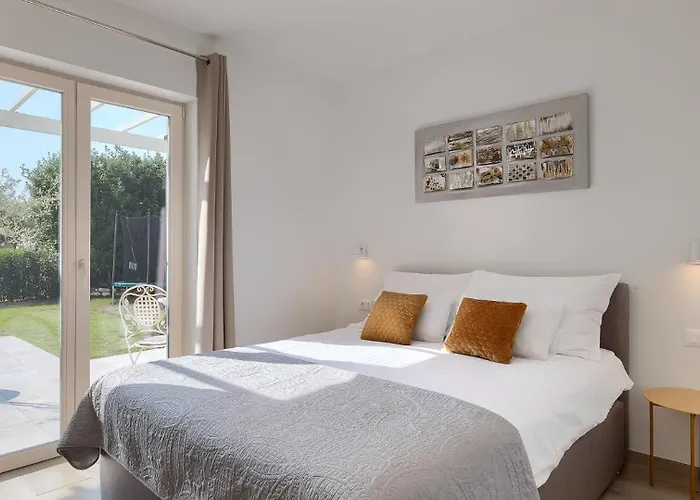 Modern Oliveti With Pool And Grill In Porec Villa