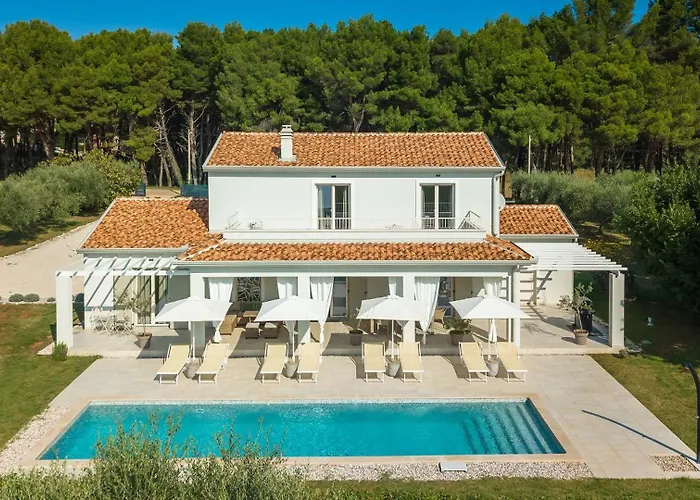 Modern Oliveti With Pool And Grill In Porec Villa *